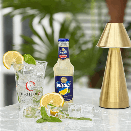 MEYVELİ SODA (200ML)