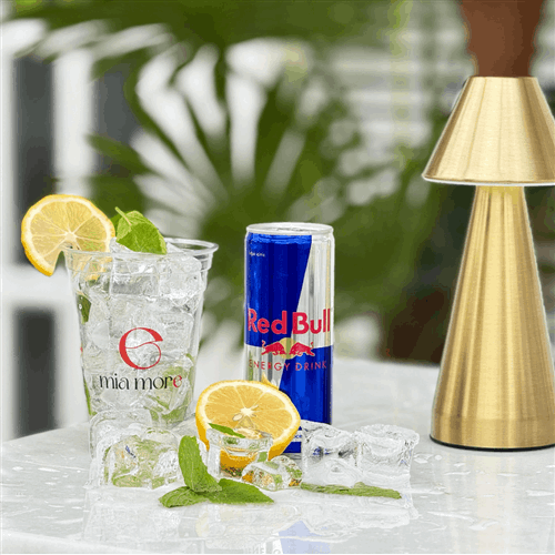 ENERJİ İÇECEĞİ (250 ML)