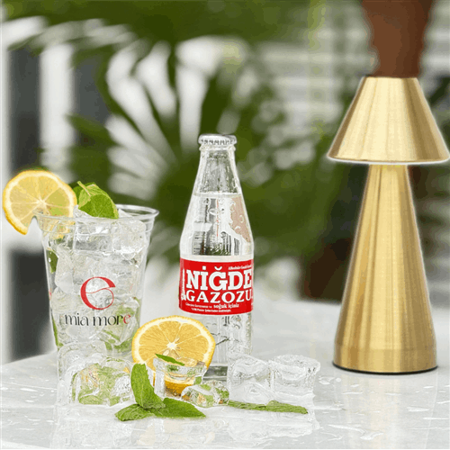 NİĞDE GAZOZU (250ML)